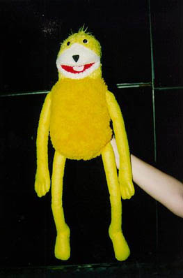 22Teddy
