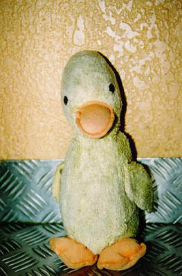 34Ducky
